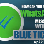 Read WhatsApp Messages Without Blue Ticks